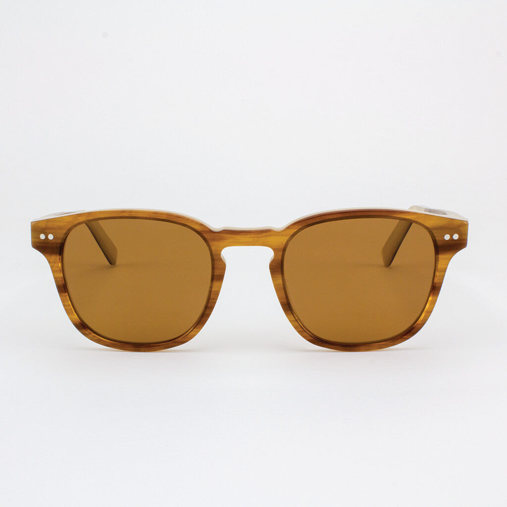 Pinecrest Unisex Polarized Sunglasses in Clear, Brown and Blue