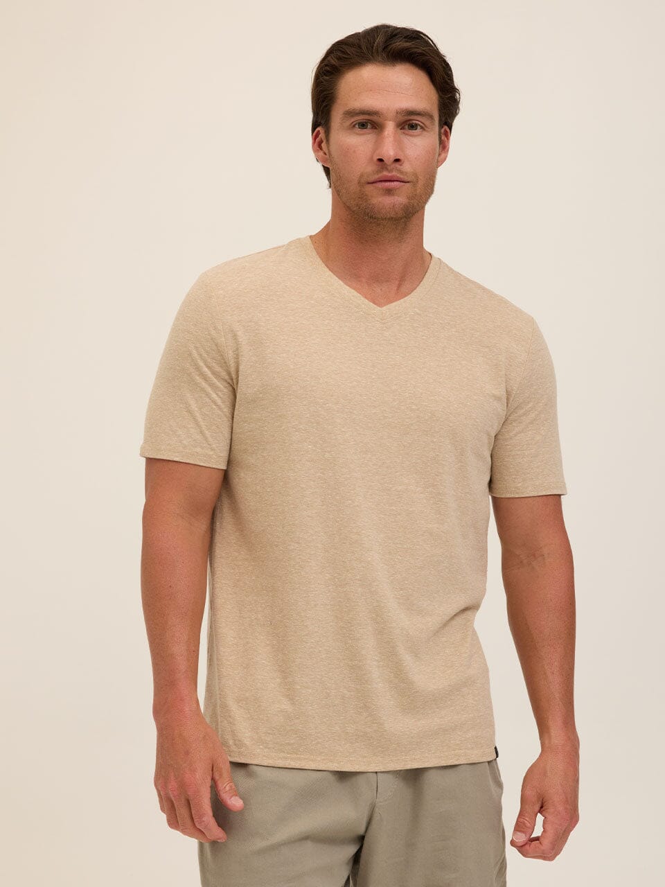 Men's Core Triblend Jersey V-Neck Tee in Beige and Tan