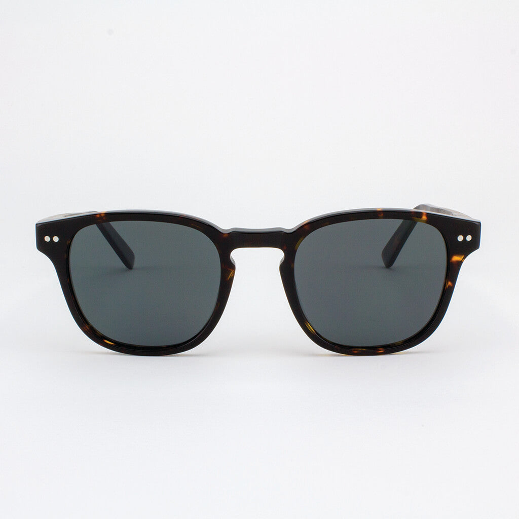 Pinecrest Unisex Polarized Sunglasses in Clear, Brown and Blue