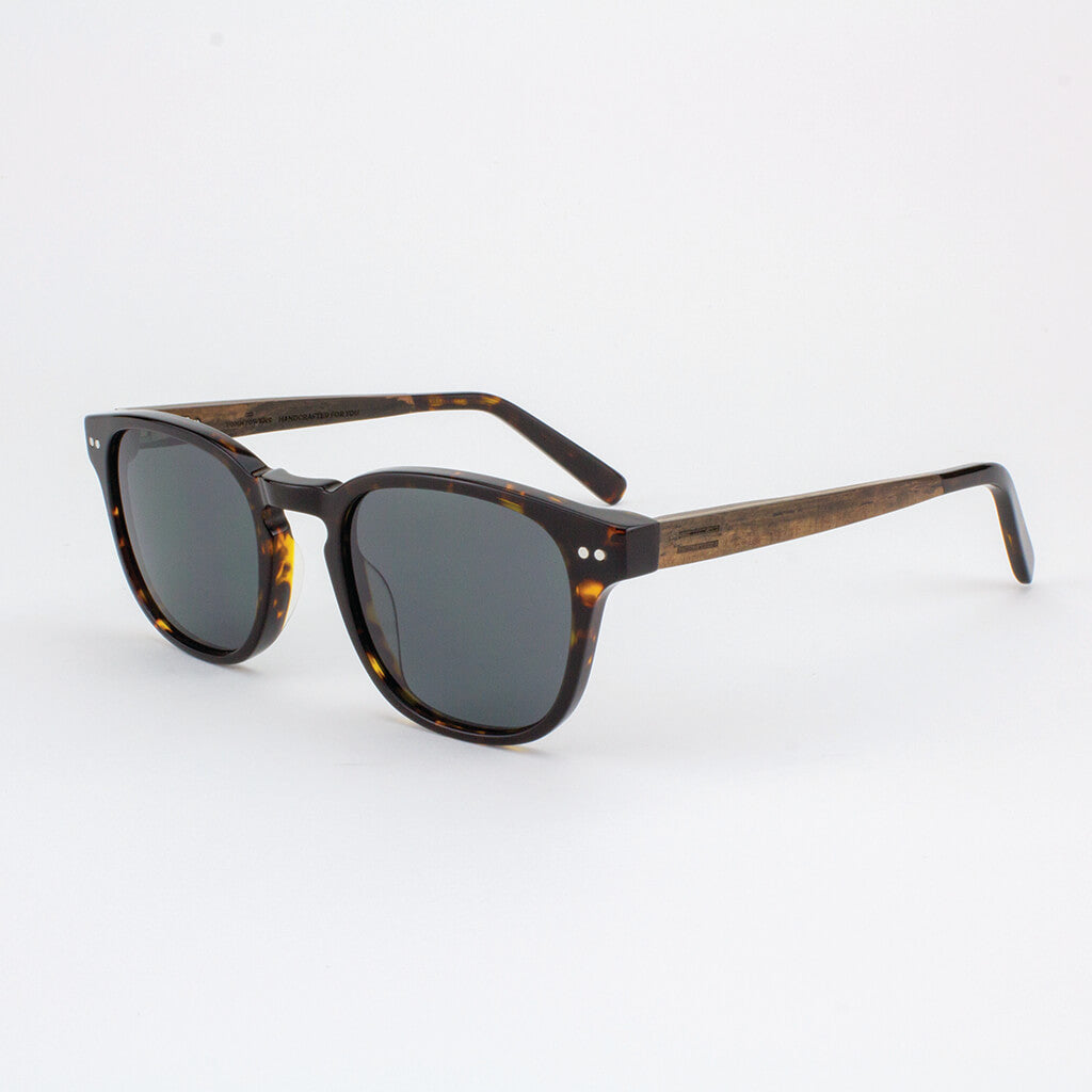 Pinecrest Unisex Polarized Sunglasses in Clear, Brown and Blue