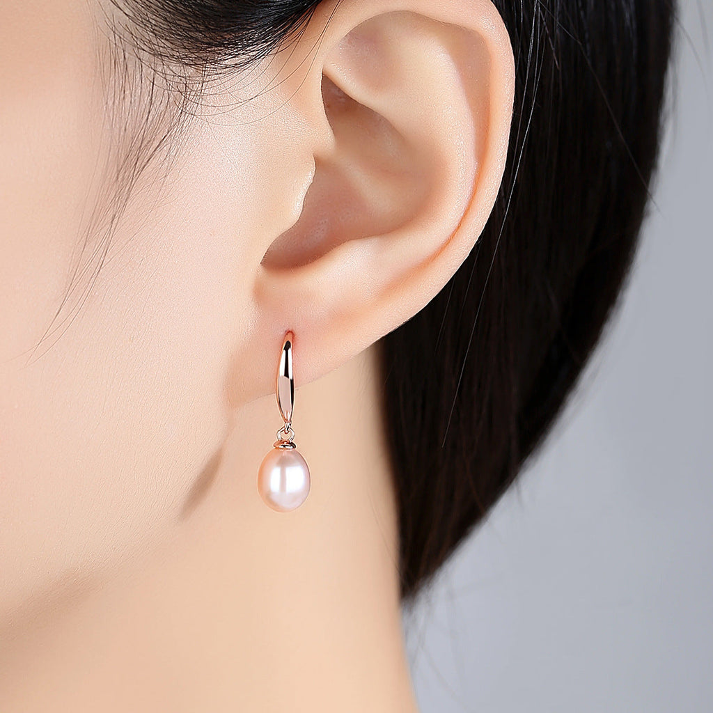 Elegant Ear Hook Earrings For Women