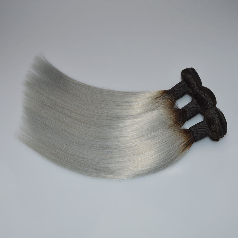 Straight Brazilian Human Hair Wig in Silver Grey