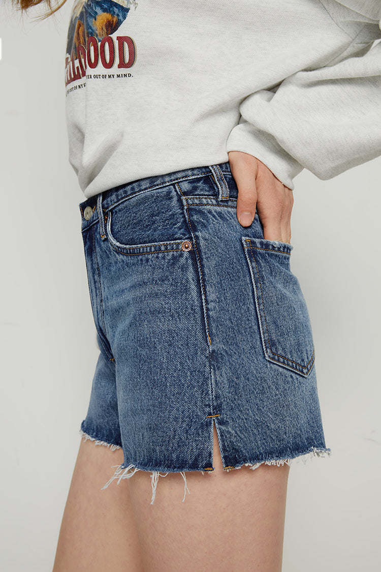 High-Rise Distressed Denim Shorts in Like a Virgin & Sexual Healing