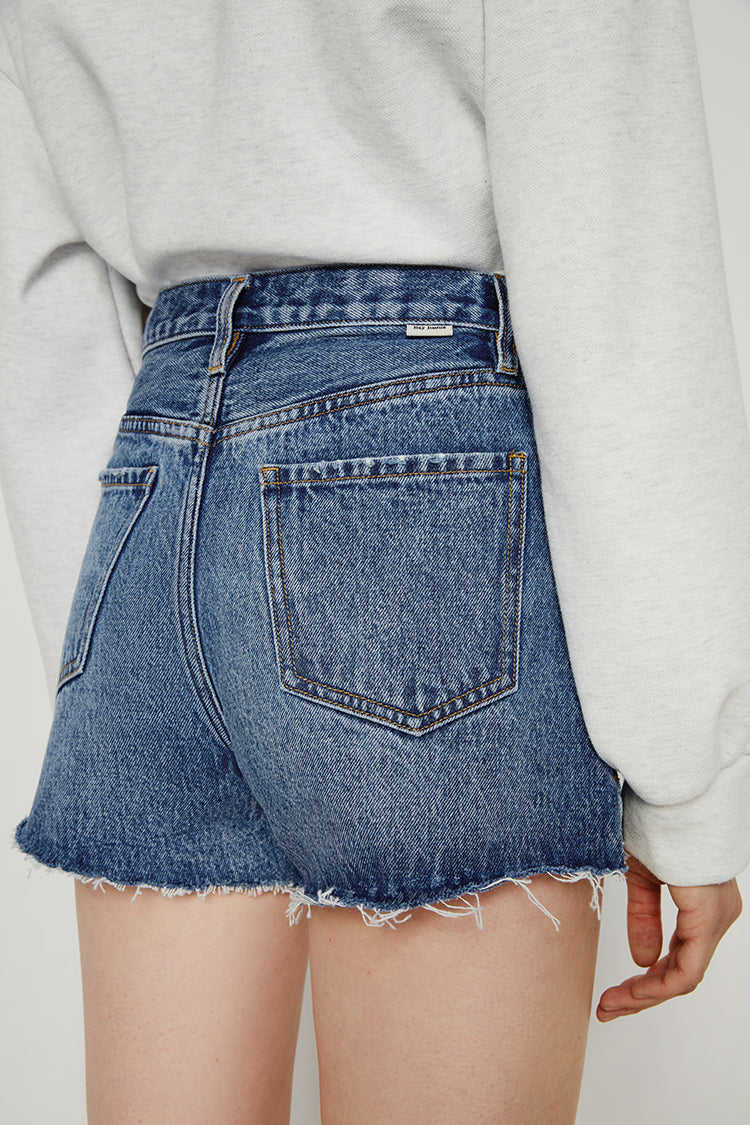High-Rise Distressed Denim Shorts in Like a Virgin & Sexual Healing