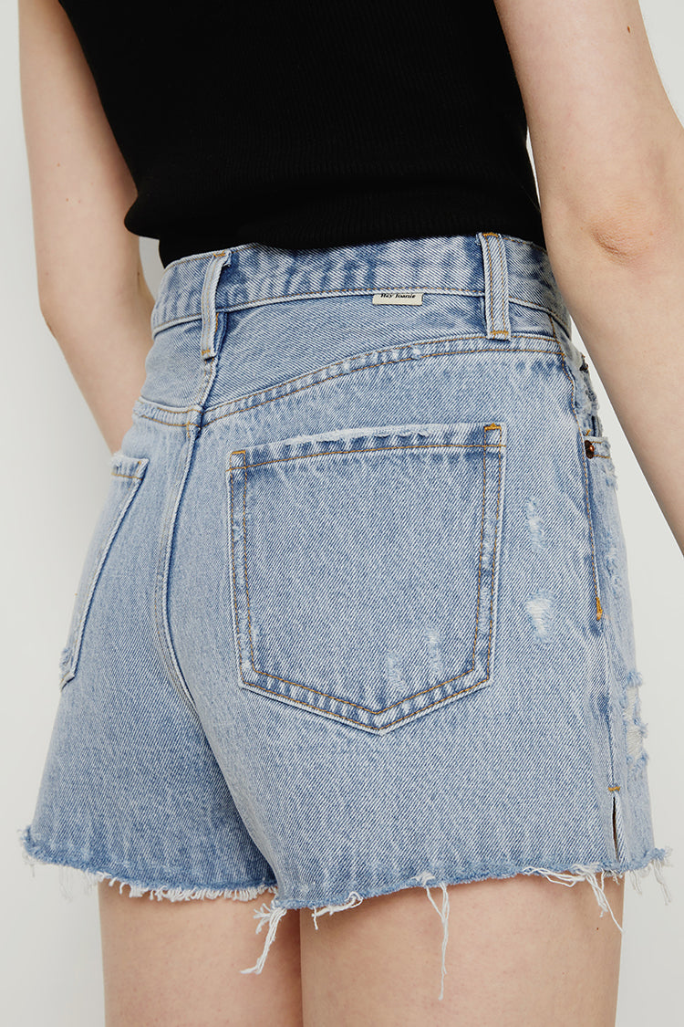 High-Rise Distressed Denim Shorts in Like a Virgin & Sexual Healing