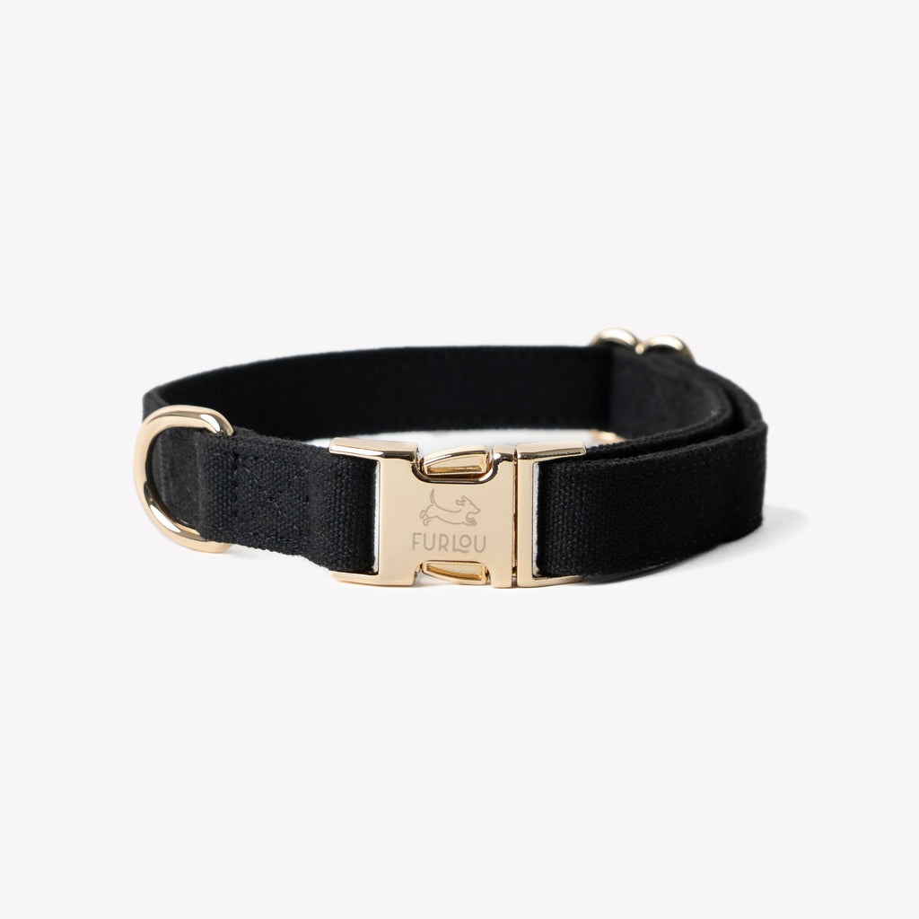 'Black' - Canvas Dog Collar