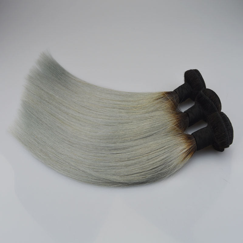 Straight Brazilian Human Hair Wig in Silver Grey