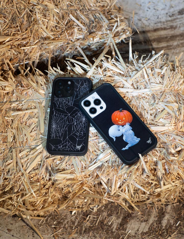 Itsy Bitsy Spider iPhone Case Black and White Web Design