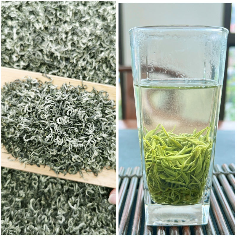 Misty Cloud Green Tea Mengdingshan Maofeng Fragrant