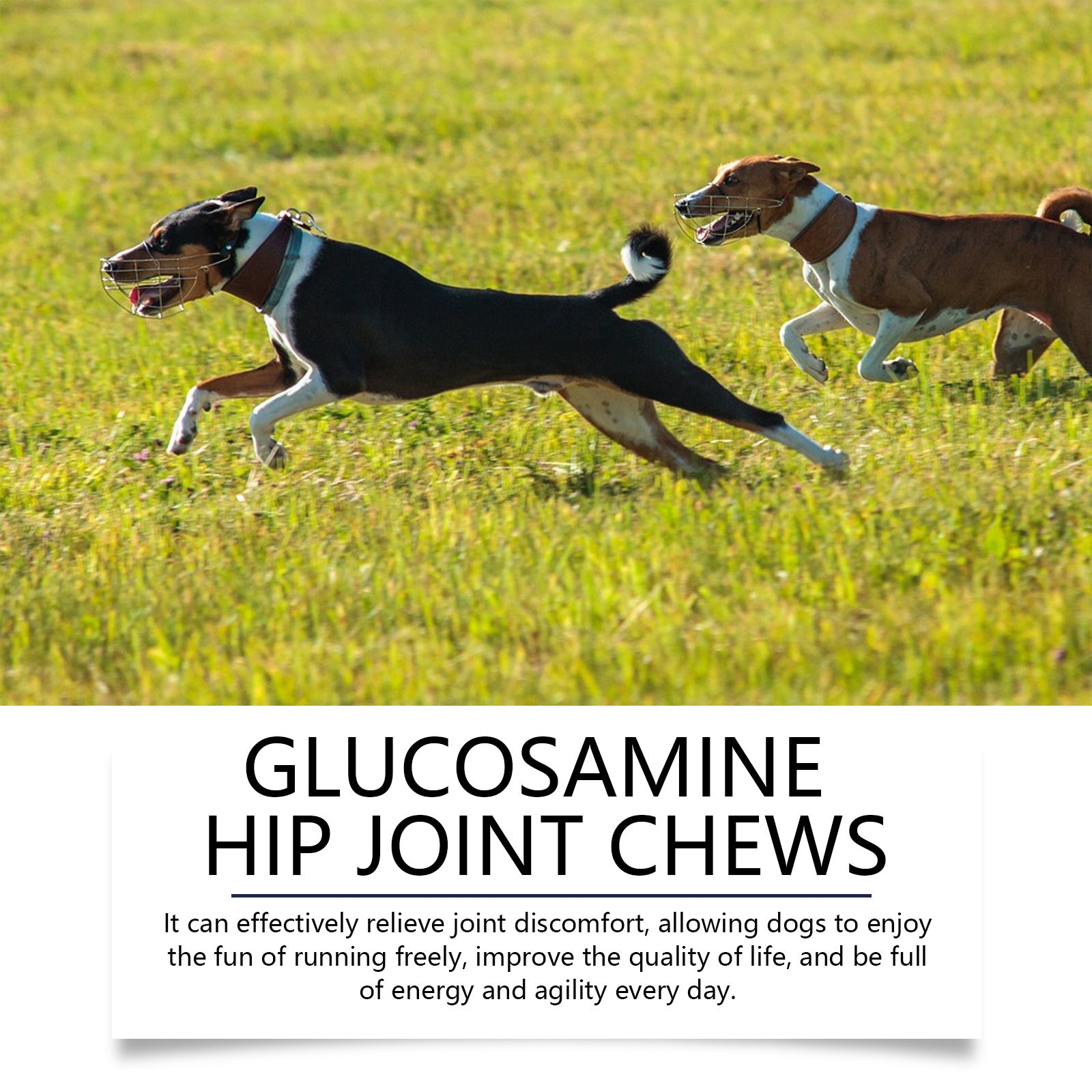 Canine Joint Care Tablets