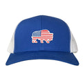 A premium Bison American Flag baseball cap with an adjustable snapback closure.