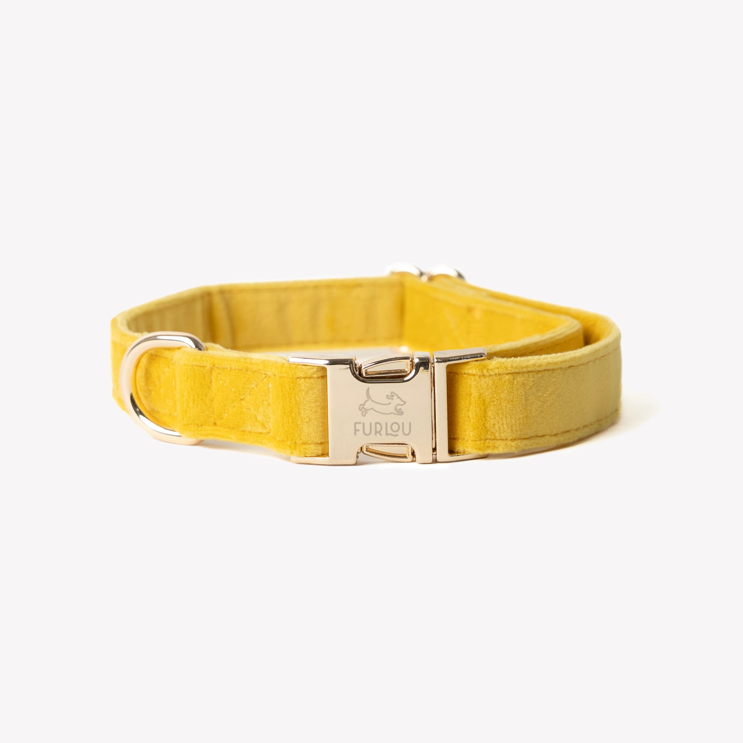 A soft yellow velvet dog collar with high-shine gold buckle and D-ring, isolated on a white background.