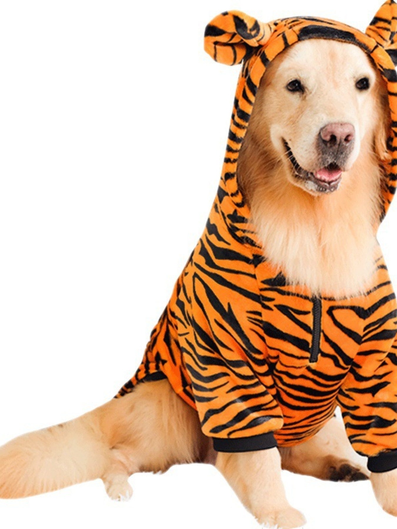 0c2f27534d984d5ab57d6a5235fd3973-Max