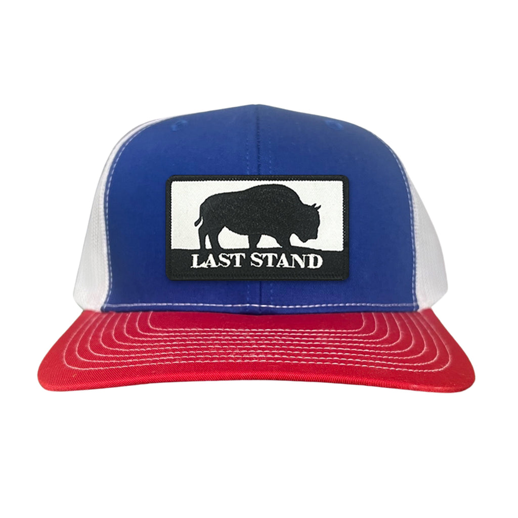Bison Graphic Curved Bill Trucker Hat Mesh Snapback Cap