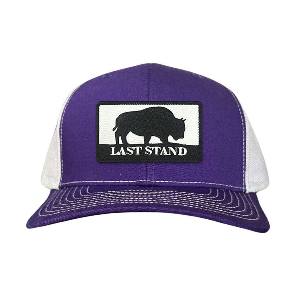 Bison Graphic Curved Bill Trucker Hat Mesh Snapback Cap