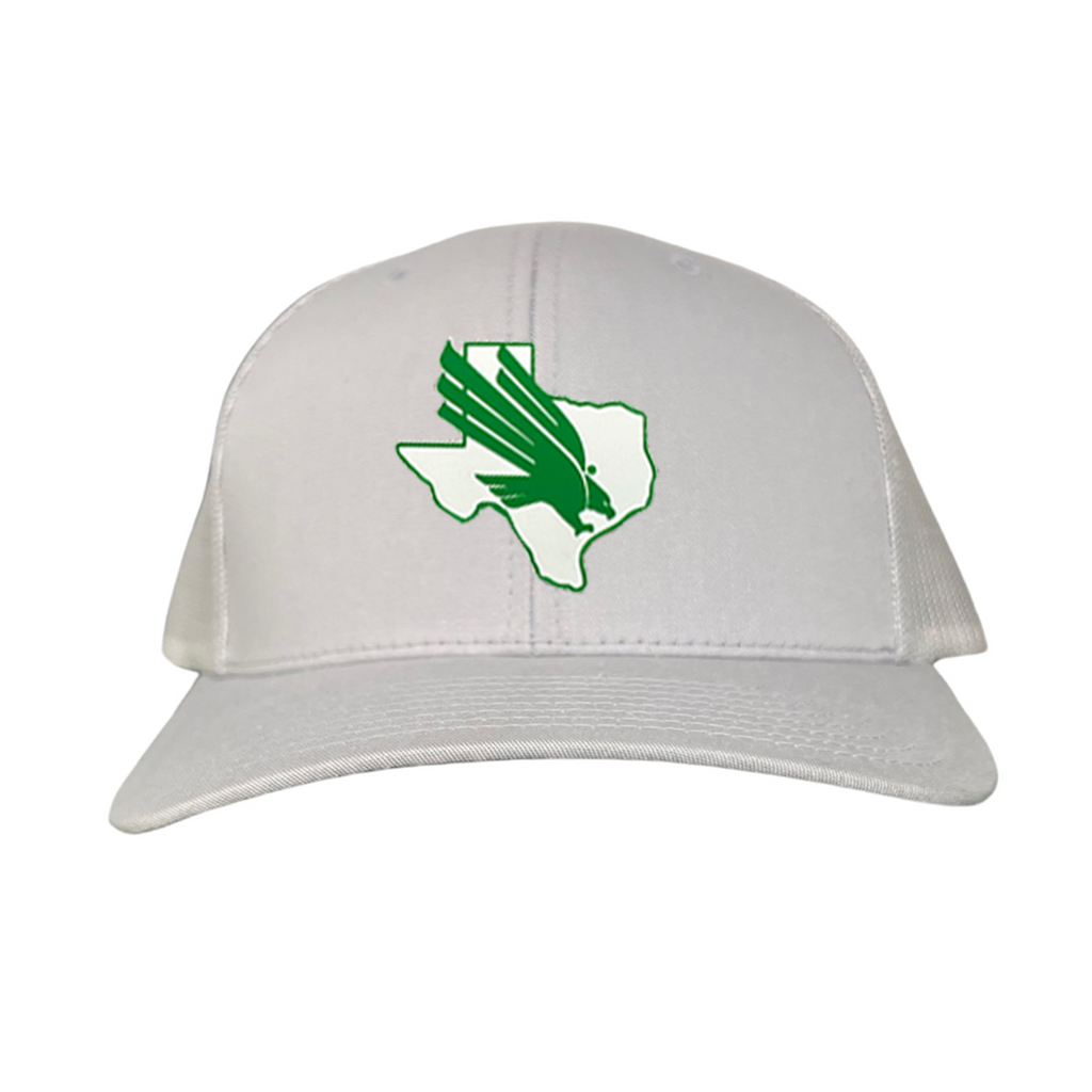 North Texas Diving Eagle Rubber Patch