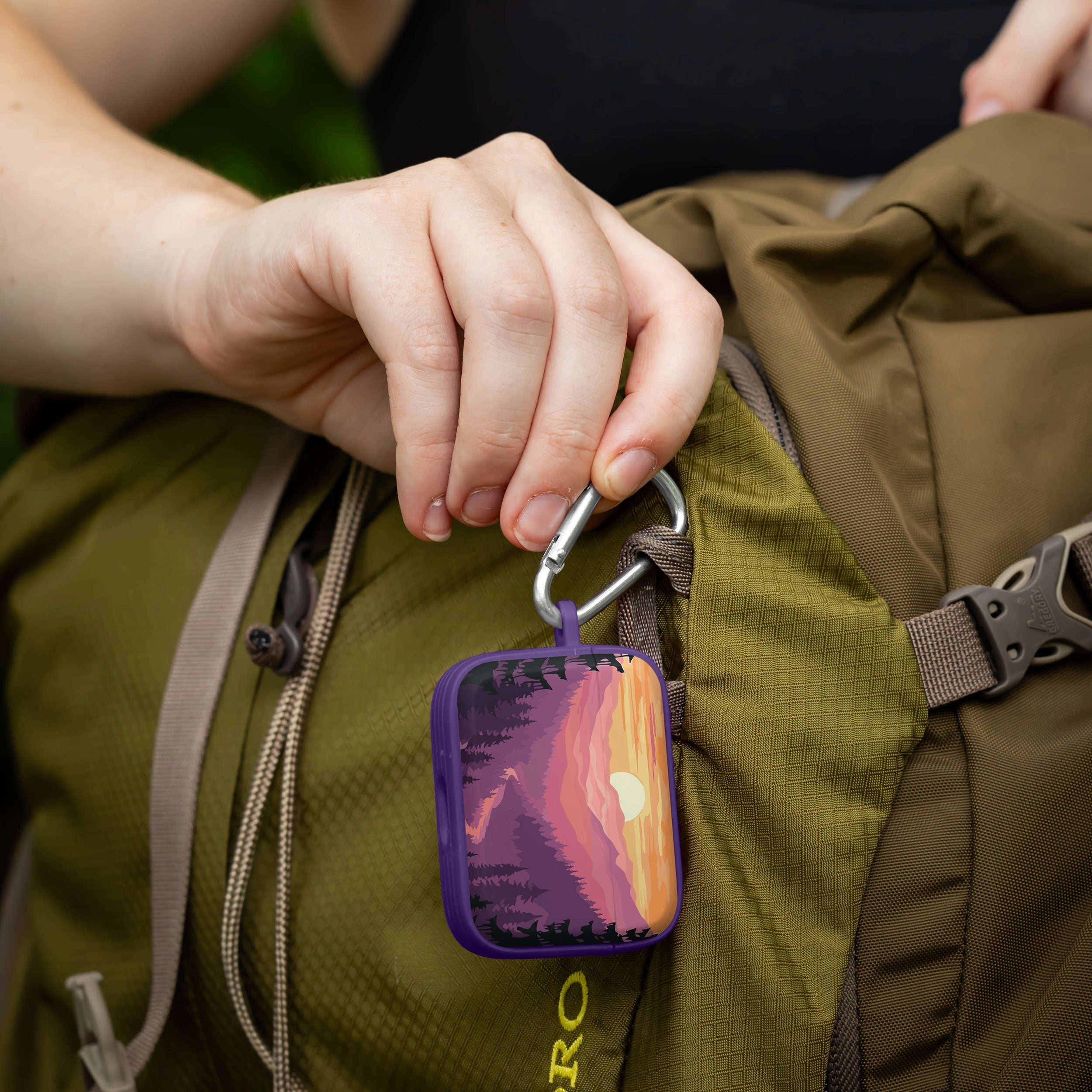 National Parks Great Smoky Mountains HDX Apple Airpods Pro 1 & 2 Case Cover