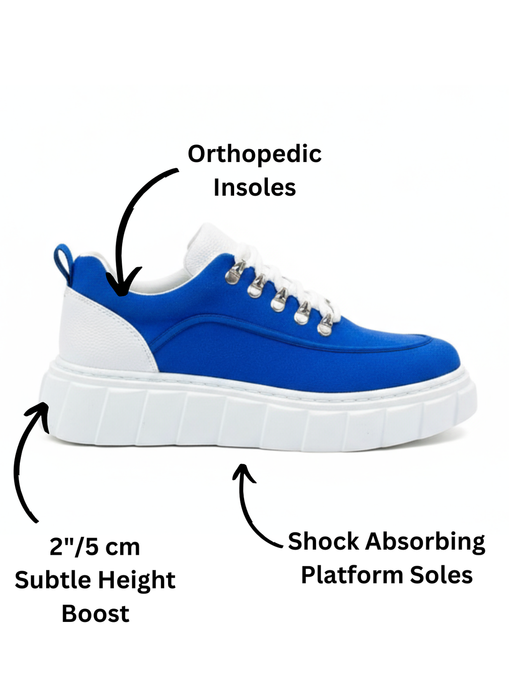 Men's Vega Cobalt