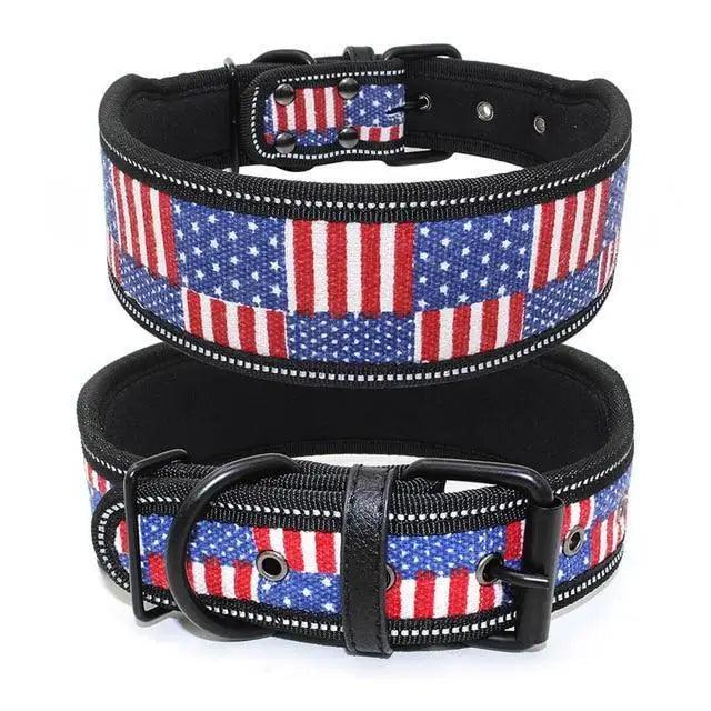 Reflective Adjustable Pet Collar for Small, Medium and Large Dogs