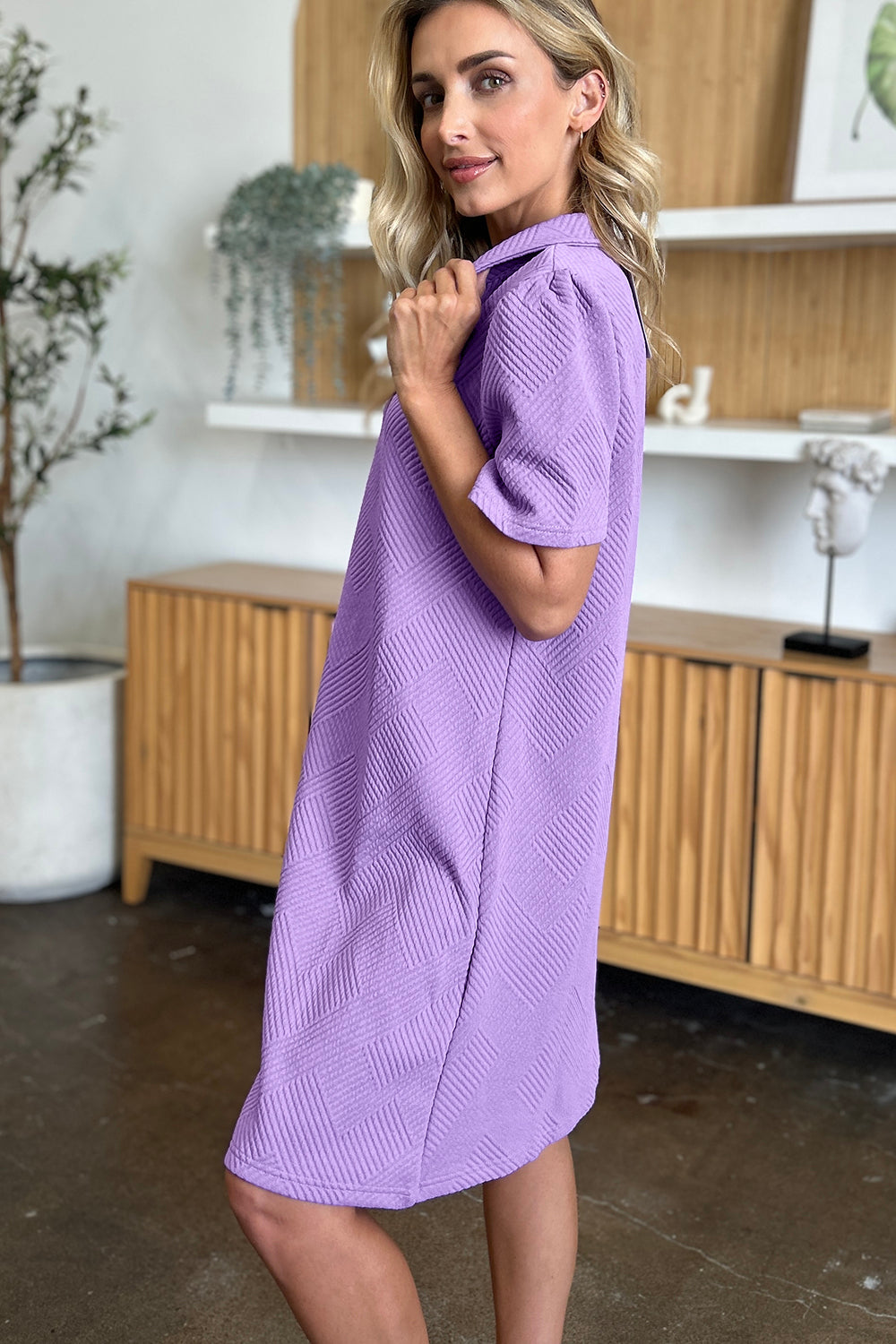 Collared Neck Short Sleeve Textured Mini Dress for Women