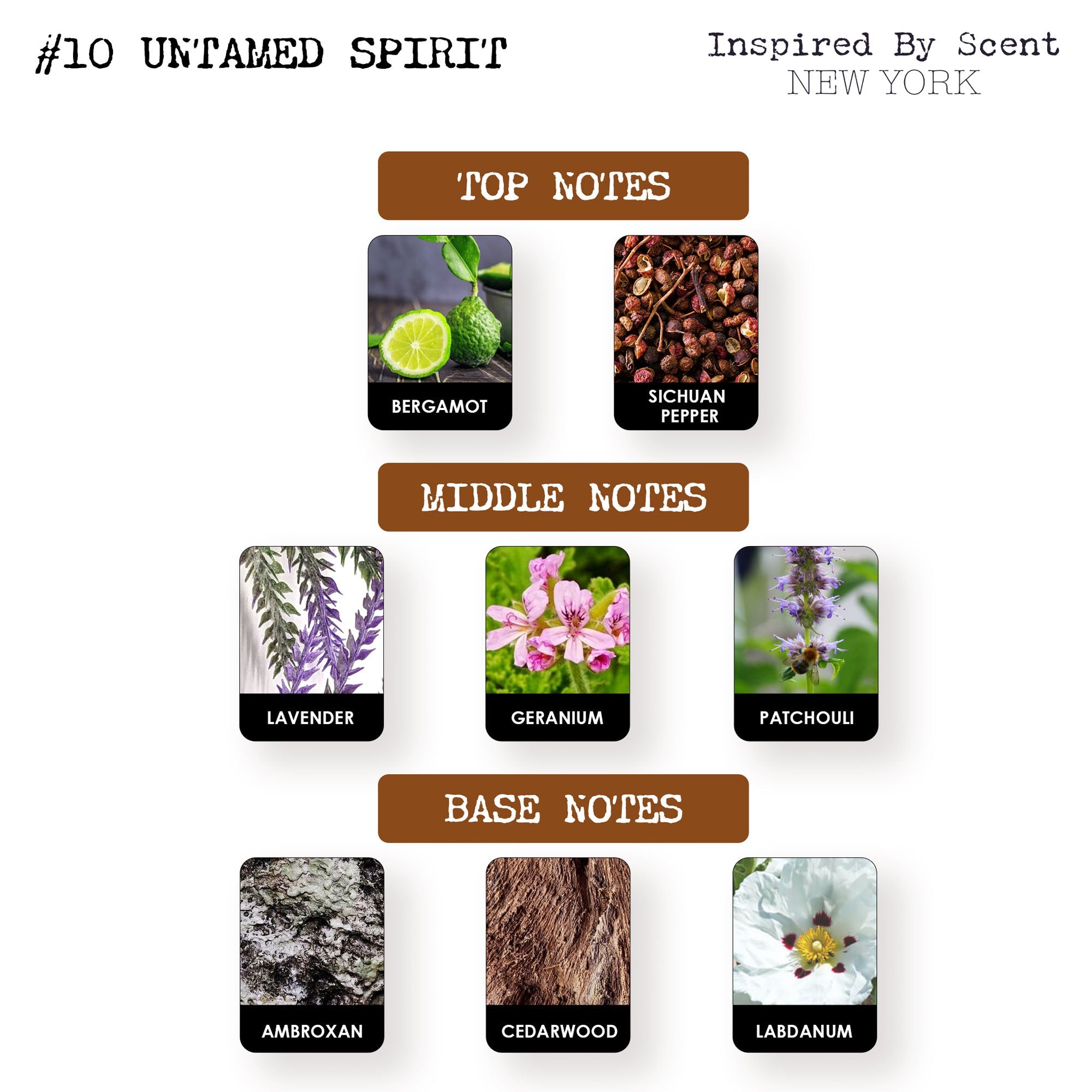 #10 Untamed Spirit Parfum