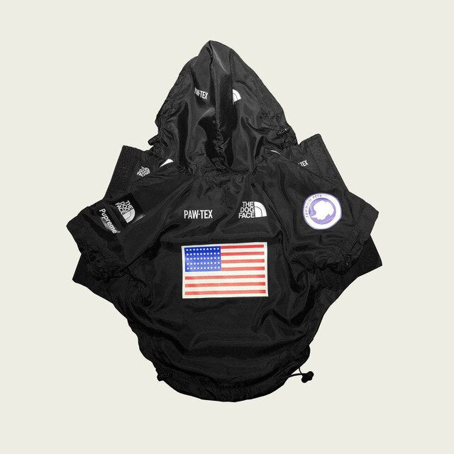 Yellow and Black Waterproof Dog Rain Jacket with Reflective Details - Image 24