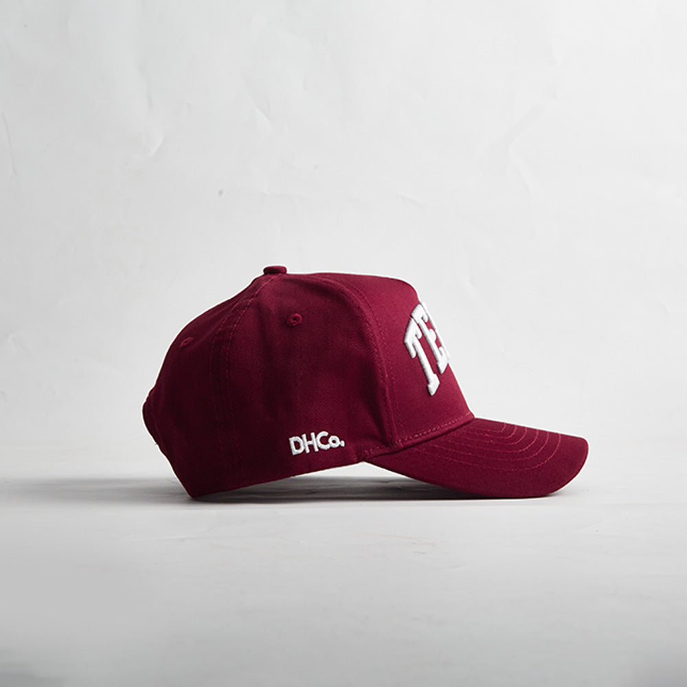 The State of Texas Legacy Snapback