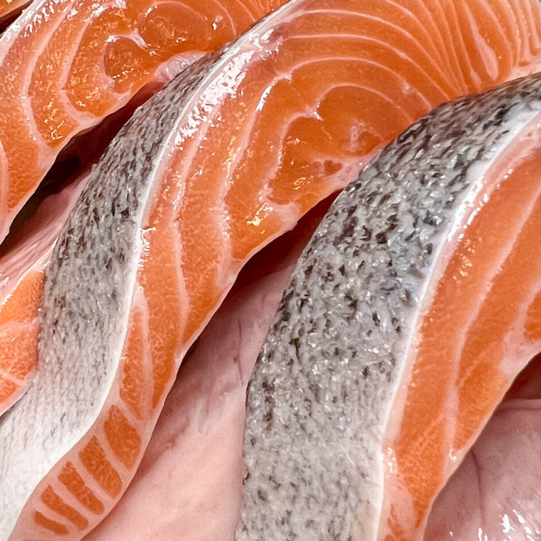Salmon Says! Superfood Pet Treats - Natural Dog Snacks 6oz Bag