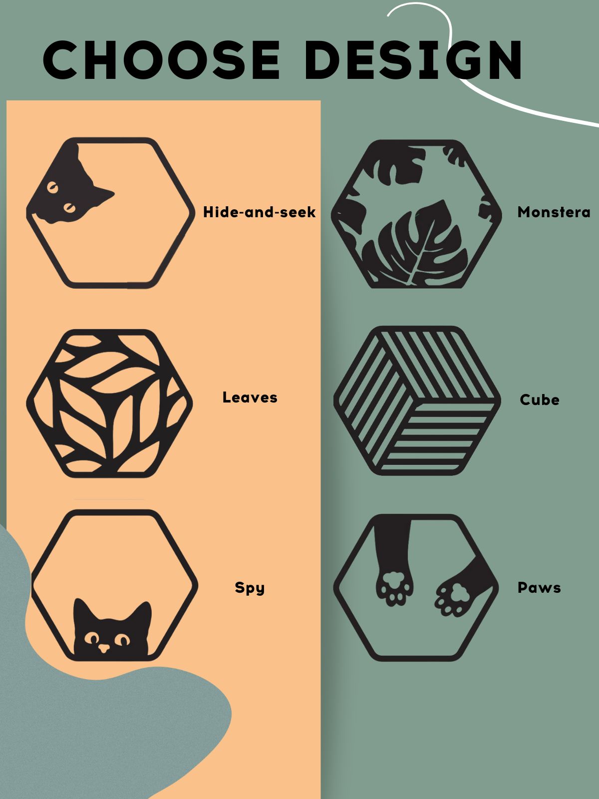 Hexagon Cat Wall Frame with Acrylic Panel