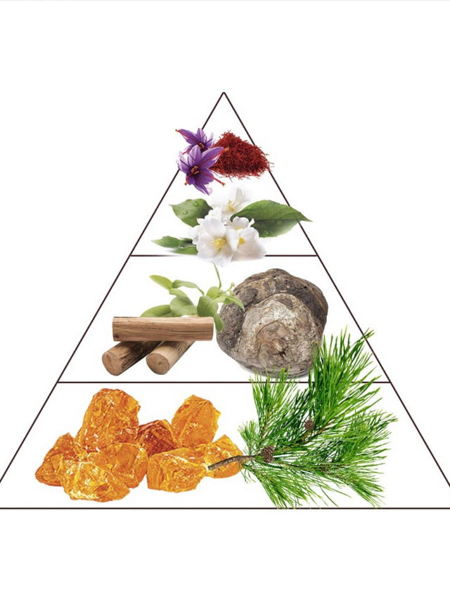 Ambre Rouge - Extrait de Parfum | Luxury Amber Perfume Made in France