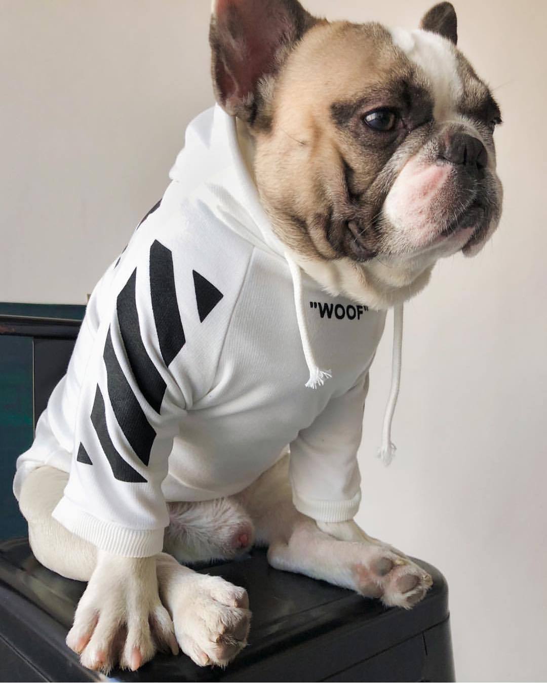 Woof Dog Hoodie Streetwear Soft Cotton Pullover for Pets - Image 16