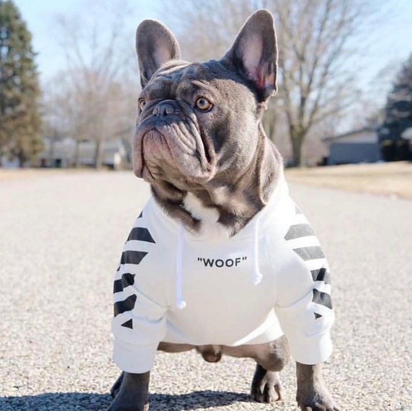 Woof Dog Hoodie Streetwear Soft Cotton Pullover for Pets - Image 17
