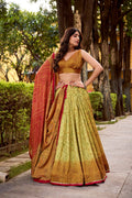 Multicolor Vichitra Silk Printed Lehenga Choli with Dupatta Set