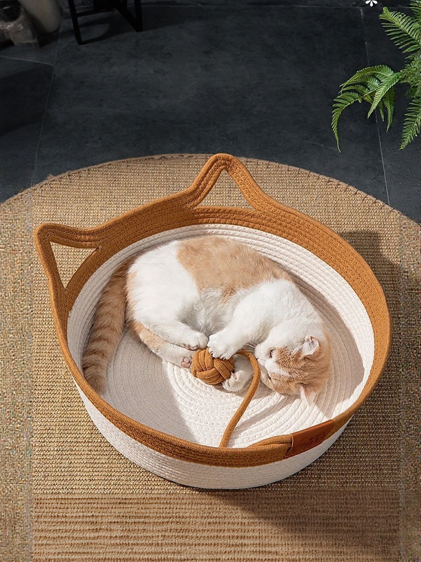 1357b3e1-c8d7-4b29-bd0e-4a476d66db70-Max