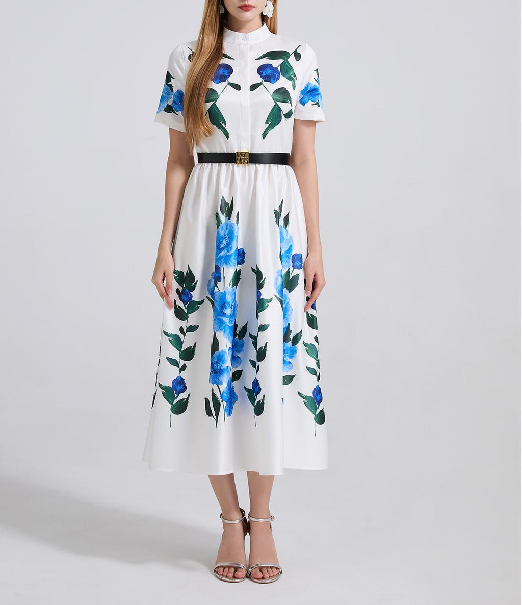 Summer Printed Fitted Dress With High Waist And Short Sleeves A Shaped Dress Comes With A Belt