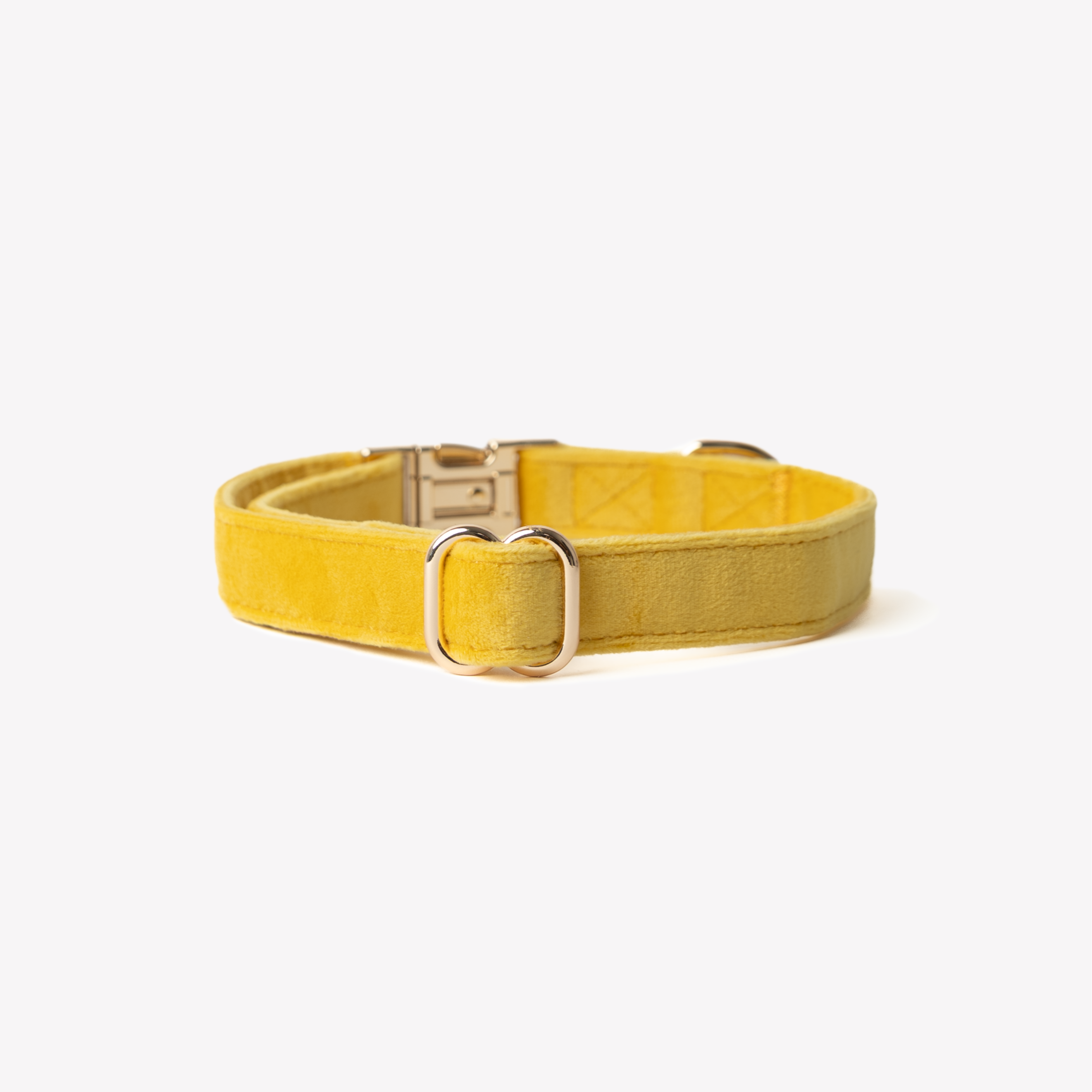 Yellow Velvet Dog Collar with Chic Gold Hardware - Image 2