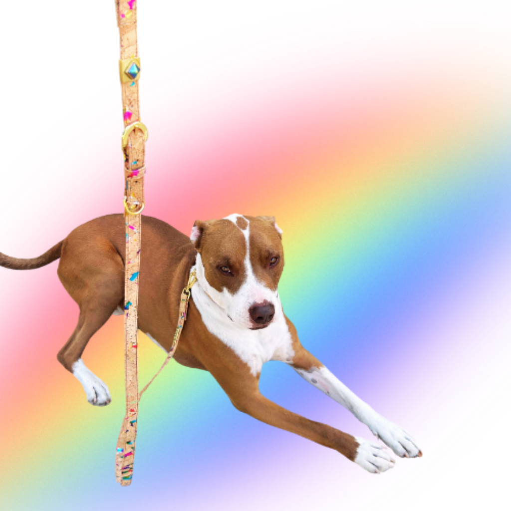 Rainbow Pride Cork Leather Leash