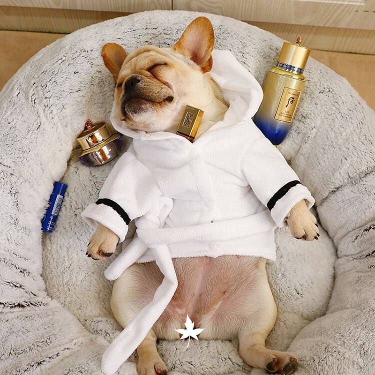 White Pet Bath Robe with Hood and Fun Lettering for Dogs - Image 3