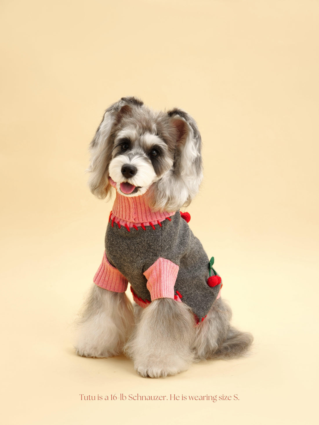 Cherry Kiss Sweater