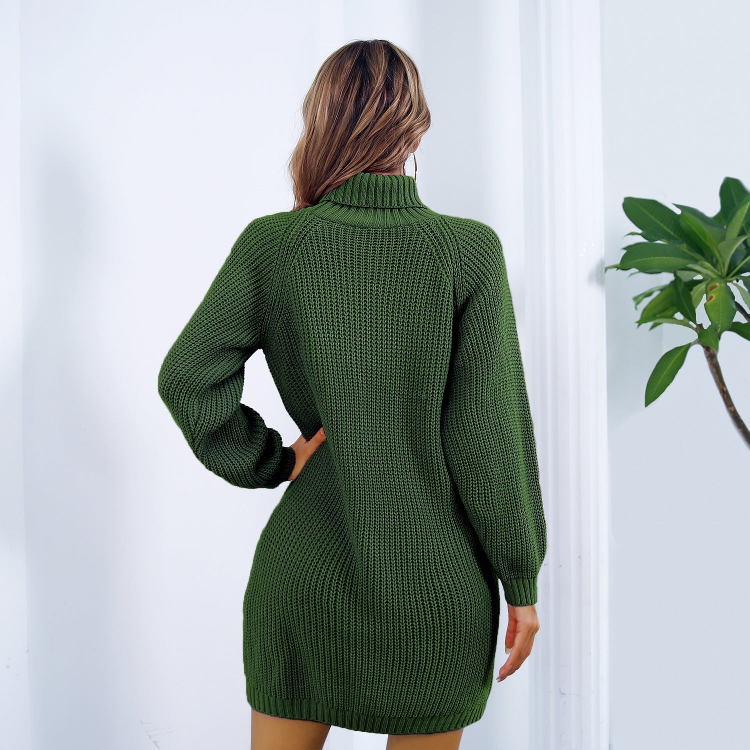 Women’s Turtleneck Long Sleeve Knit Sweater Dress