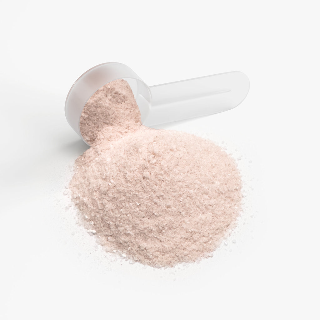 Hydration Drink Powder - Peach Mango