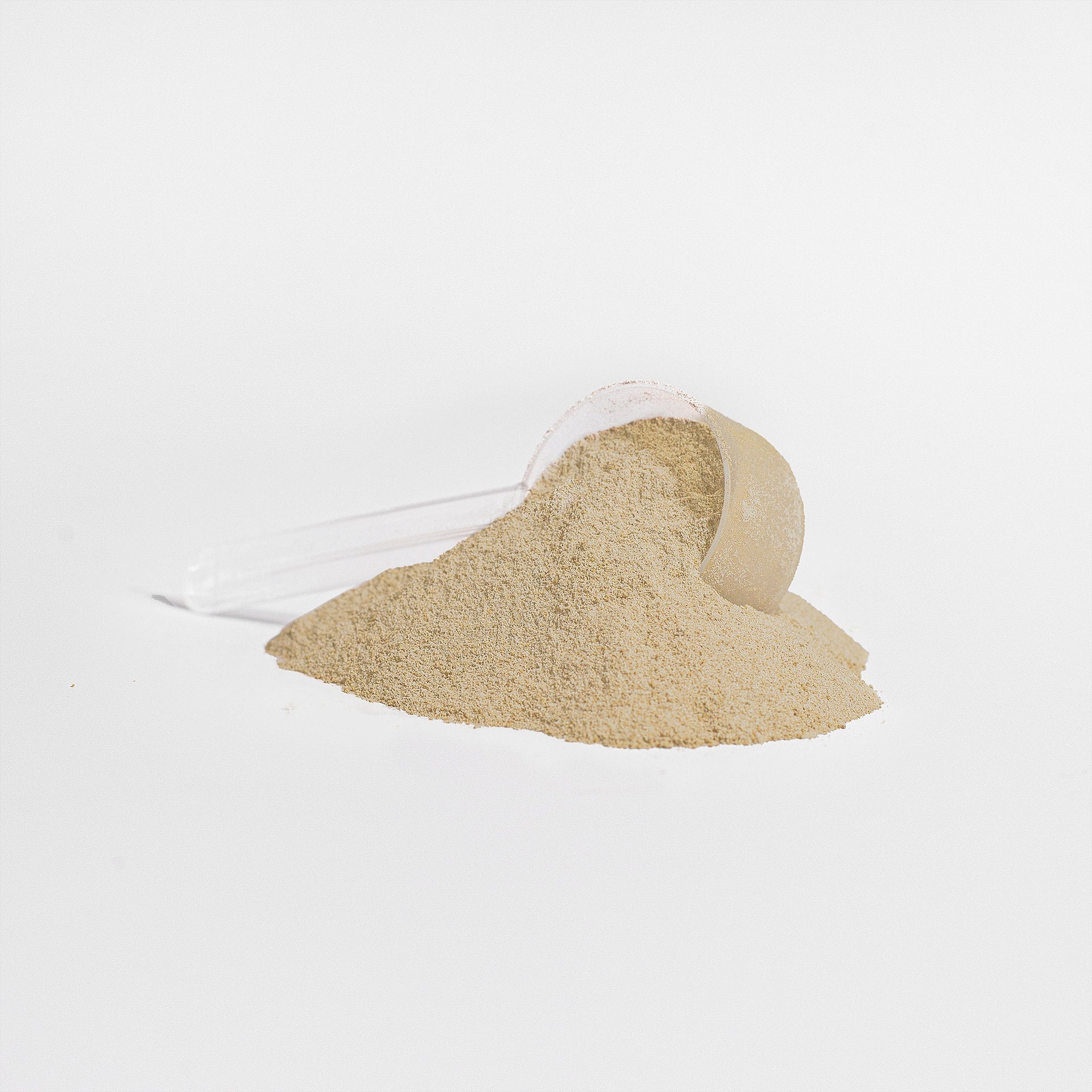 Vanilla Plant Protein Powder