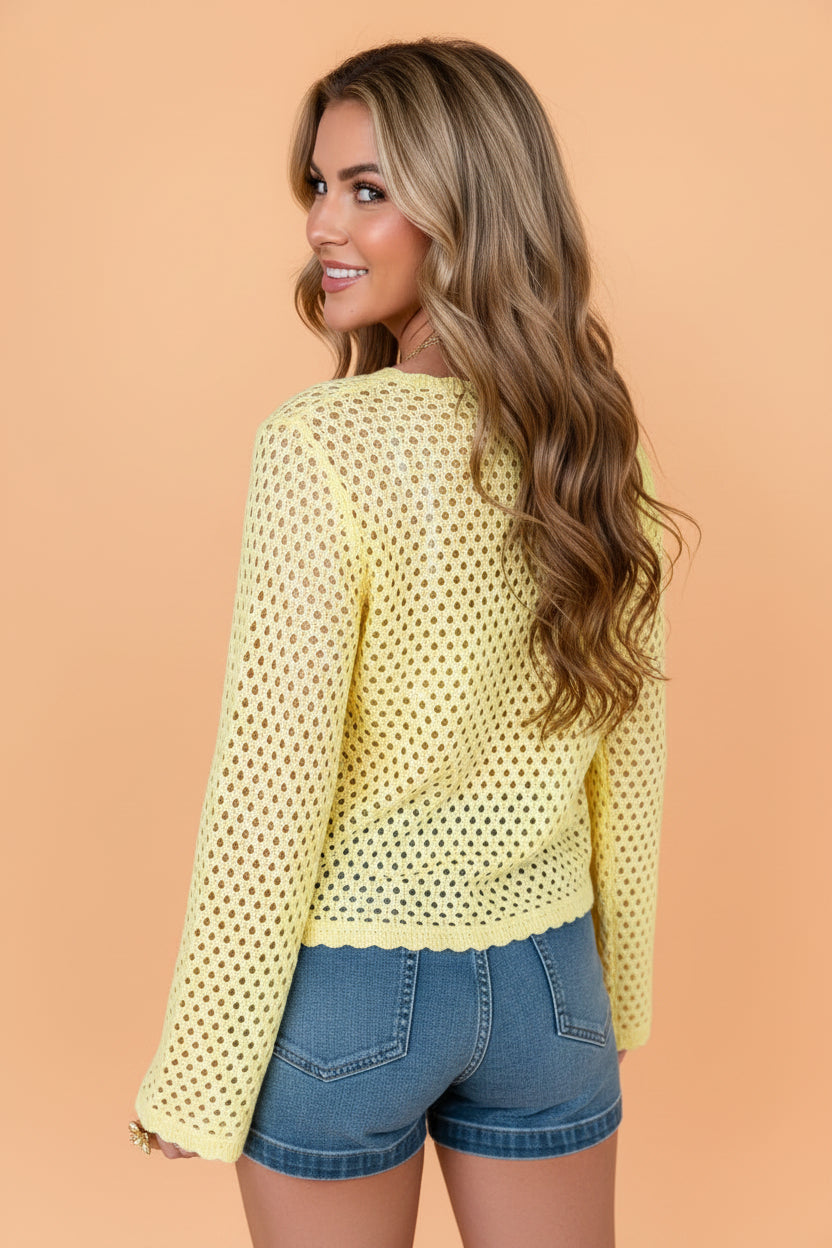 Scalloped Trim Hollow Out Knit Long Sleeve Top