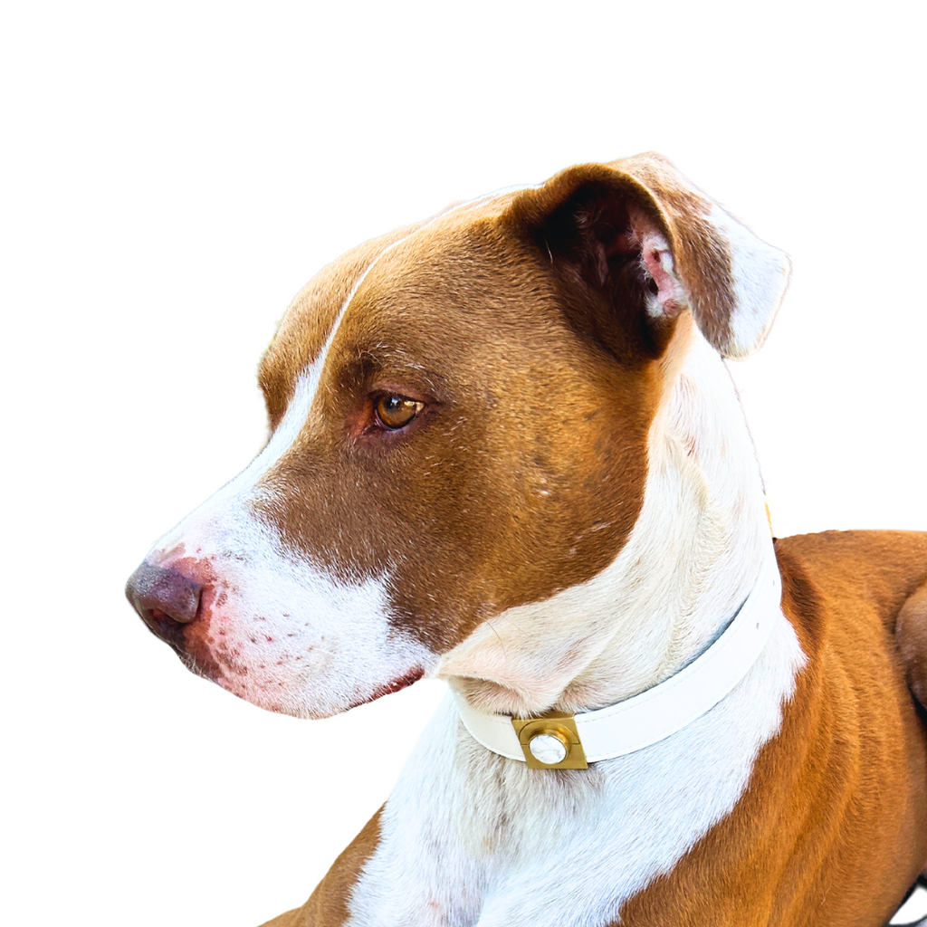 Howlite Moon Crystal Charm – Gold or Silver | DIPHDA