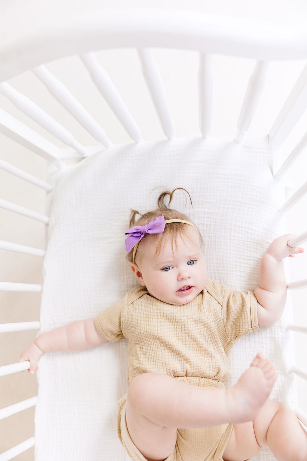 Black Mini Pinwheel Bow