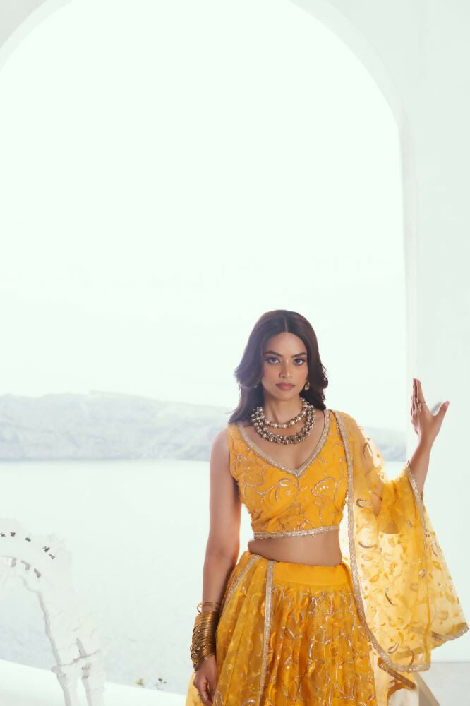 Yellow Butterfly Net Wedding Lehenga with Cotton Thread & Sequence