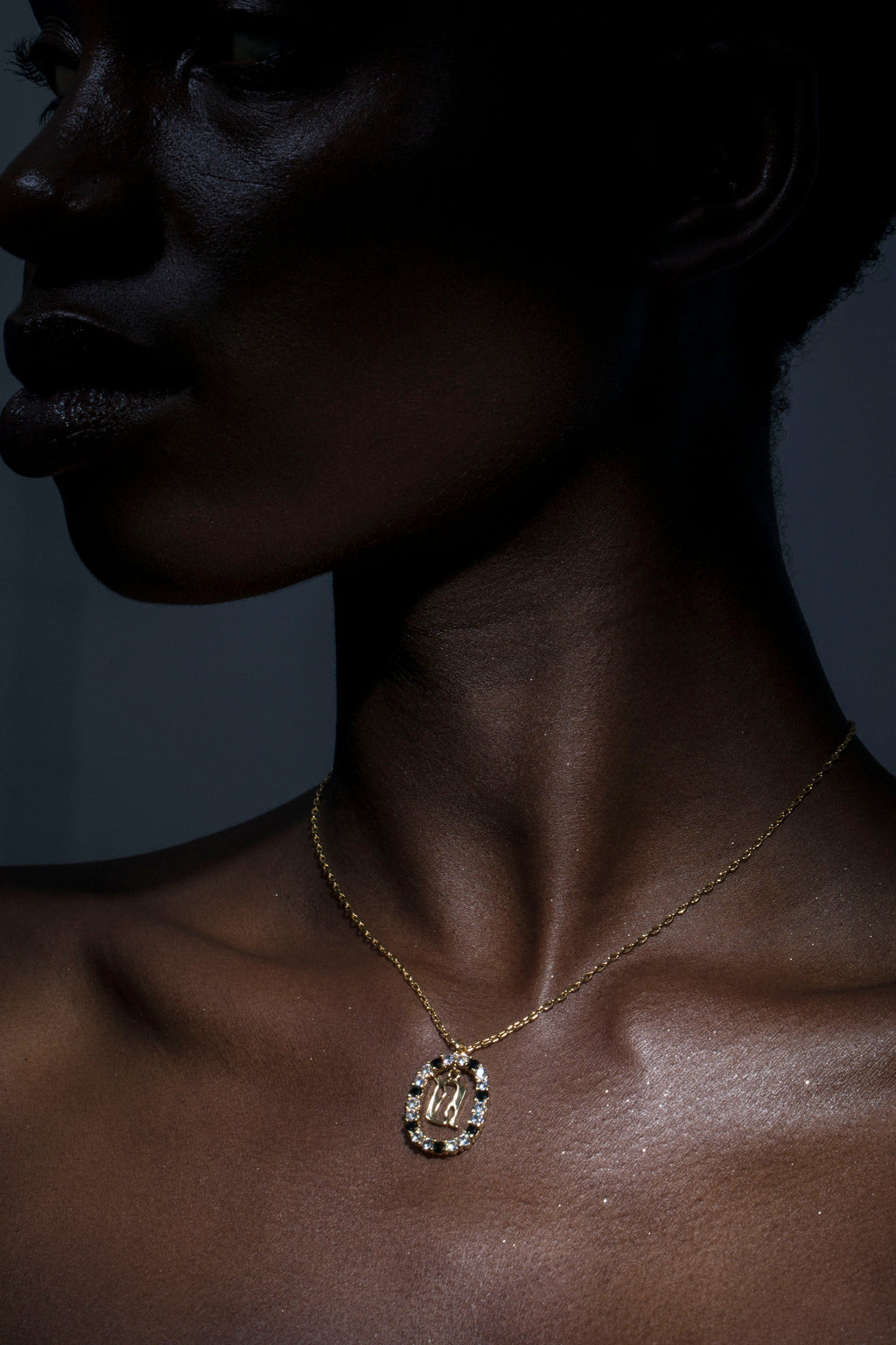 Armenian Alphabet Initial Necklace – Gold-Plated with Zircon