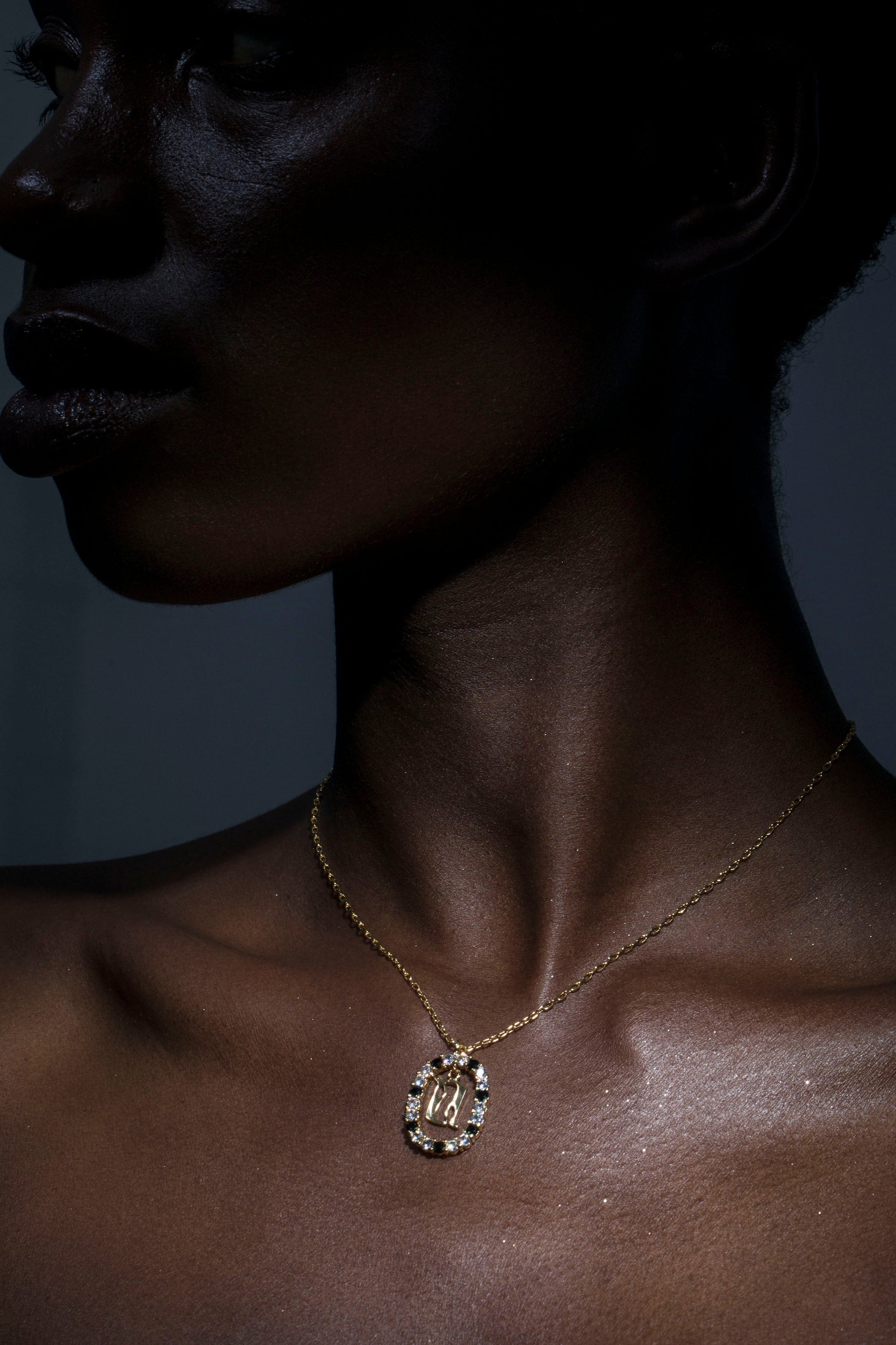 Armenian Alphabet Initial Necklace – Gold-Plated with Zircon