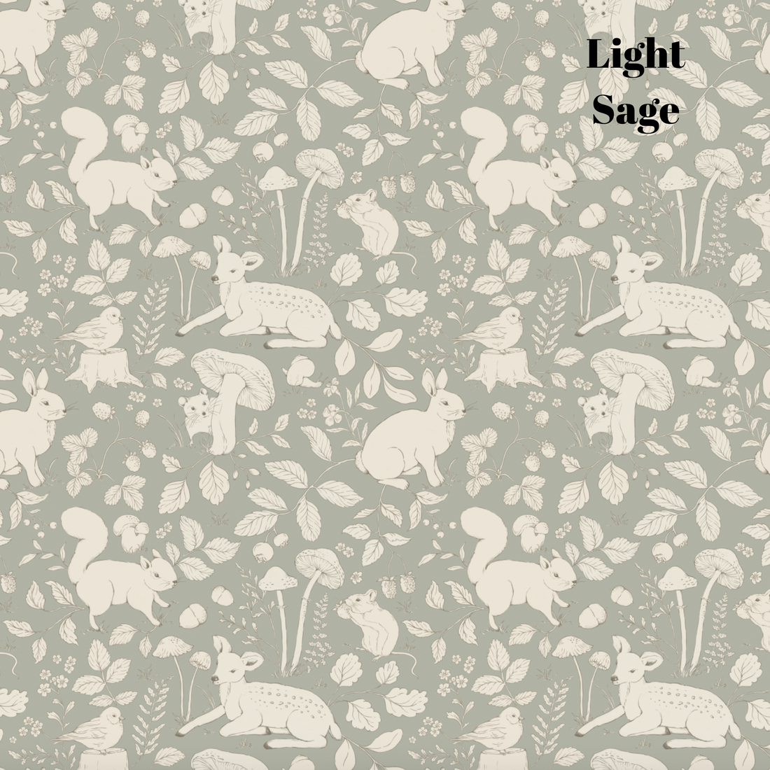 Finch Peel and Stick Removable Wallpaper by Daphne and Sage