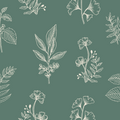 Luca Botanical Floral Removable Wallpaper in Green and Pink